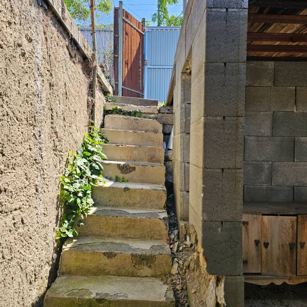 Stone steps leading up to the gate of the cottage in Čaňa surrounded by greenery.