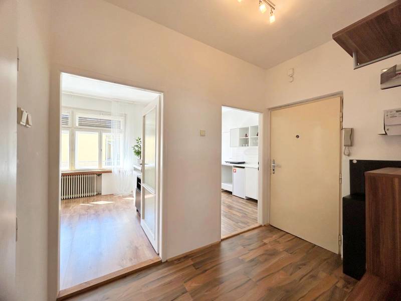 A bright hallway with entrances to the kitchen and a room in a 2-room apartment.