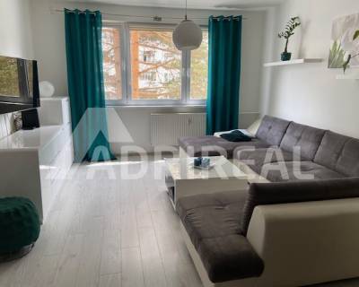 Living room of a three-room apartment with a gray sofa and turquoise curtains.