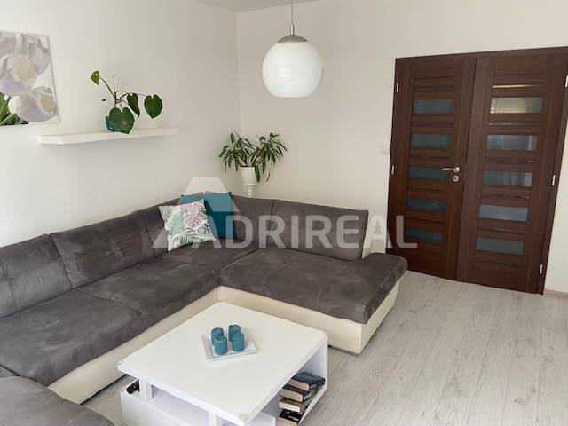 Living room with a corner sofa, coffee table, and plants in a three-room apartment.
