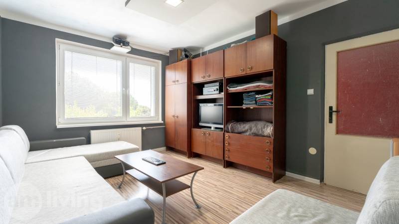 Living room with a sofa, wooden wall, window, and table in a studio apartment.