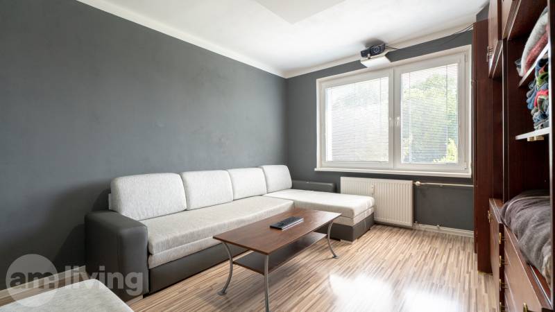 Living area in a studio apartment with a sofa, table, and large window.