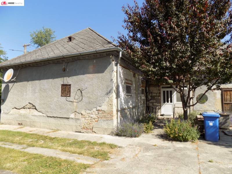 A family house in Veľké Kosihy with a metal roof, a tree, and a blue container.