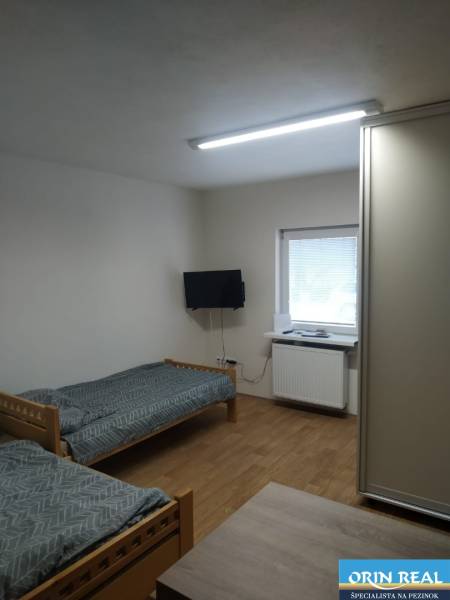 Studio with two beds, a television, and a radiator, light flooring, simple decor.