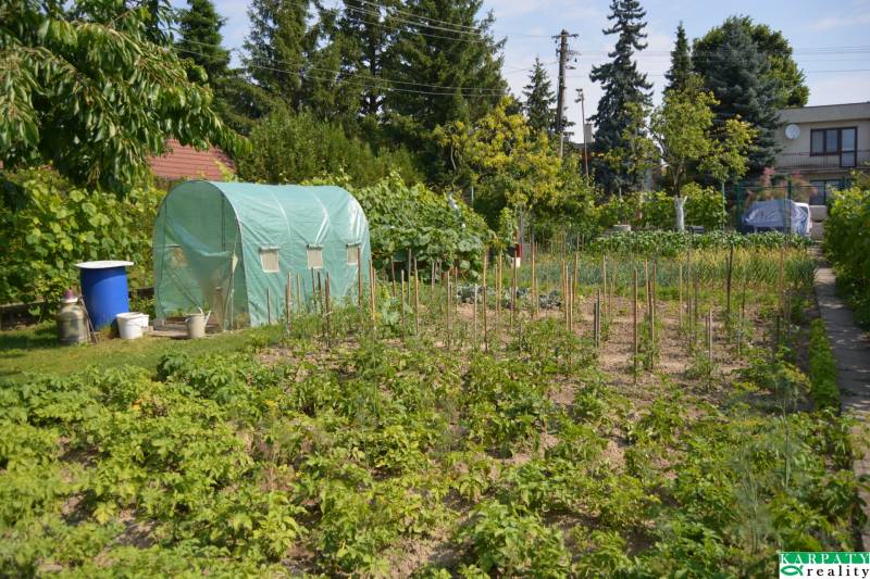 Garden greenhouse and vegetable growing at a family house in Trstín.