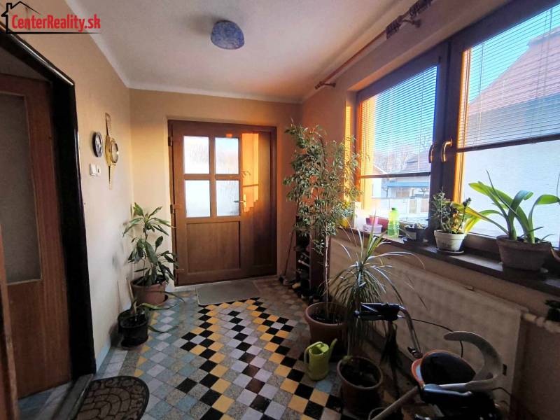 Hallway with plants, windows, and doors in a family house.