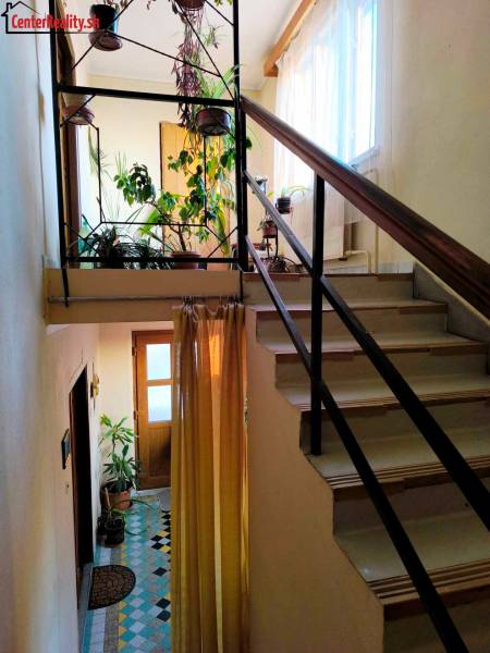 Interior of a family house, staircase with plants and a bright entrance.