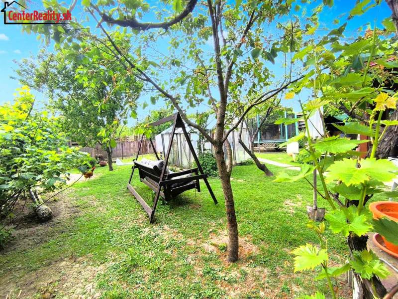 The garden of a family house in Partizánske, Malé Bielice area with a swing and greenery.