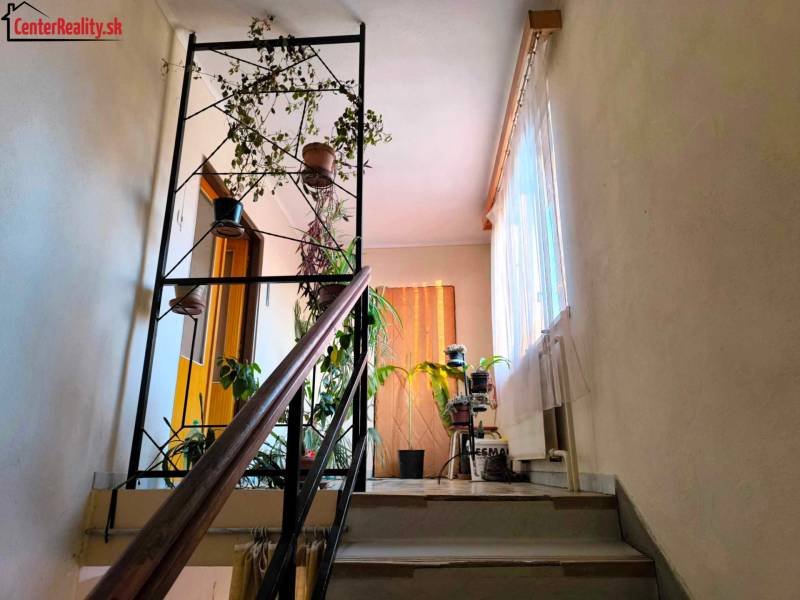 A corridor with plants, a staircase, wooden railing, and a window illuminates the family house.