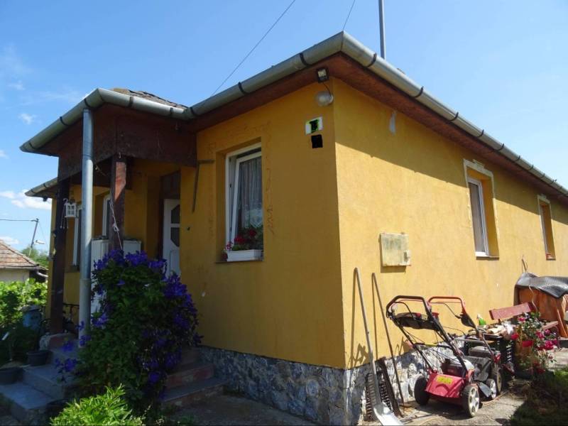 A family house on Futrinka Street in Krasznokvajda, with shrubs and floral decorations.