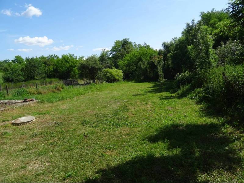 A garden by a family house on Futrinka Street in Krasznokvajda, surrounded by trees and lawn.