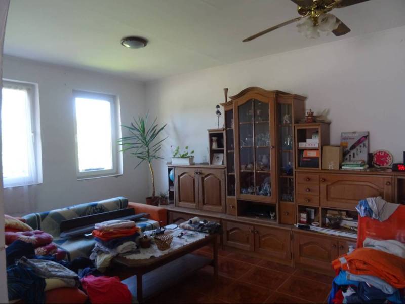 Living room in a family house with solid wood furniture, a sofa, and a tropical plant.