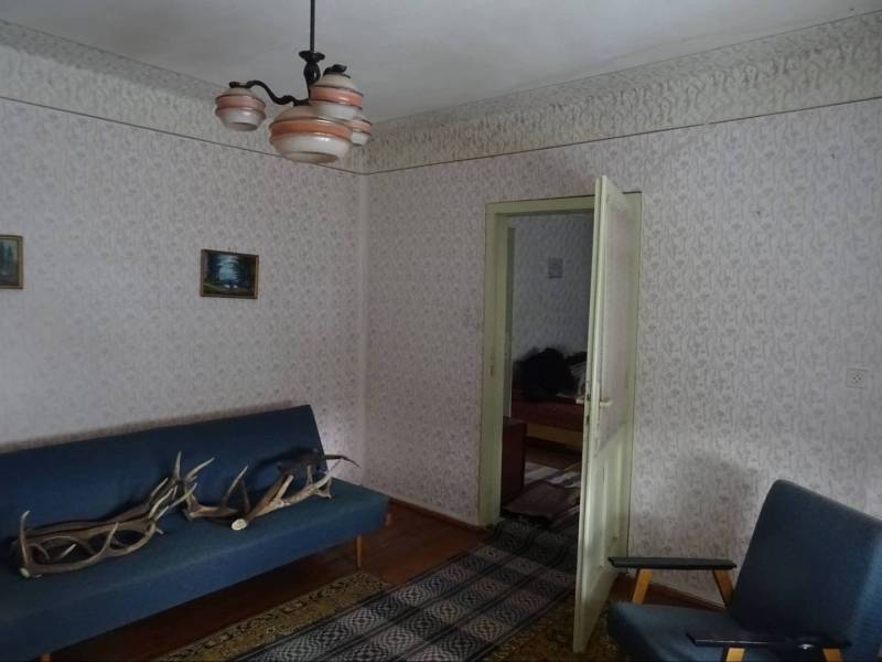 A room with a blue sofa, antlers, patterned wallpaper and paintings, wooden floor.