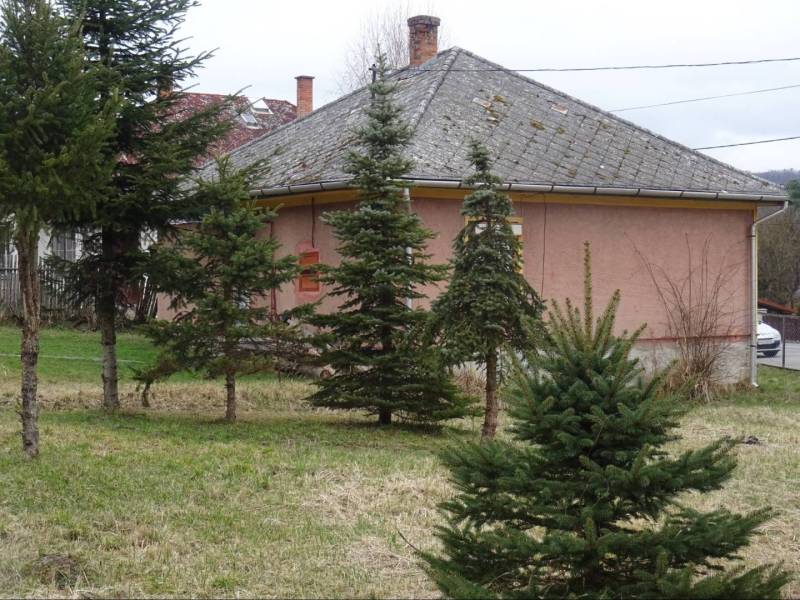 A family house in Telkibanya with a garden and coniferous trees at the front of the property.