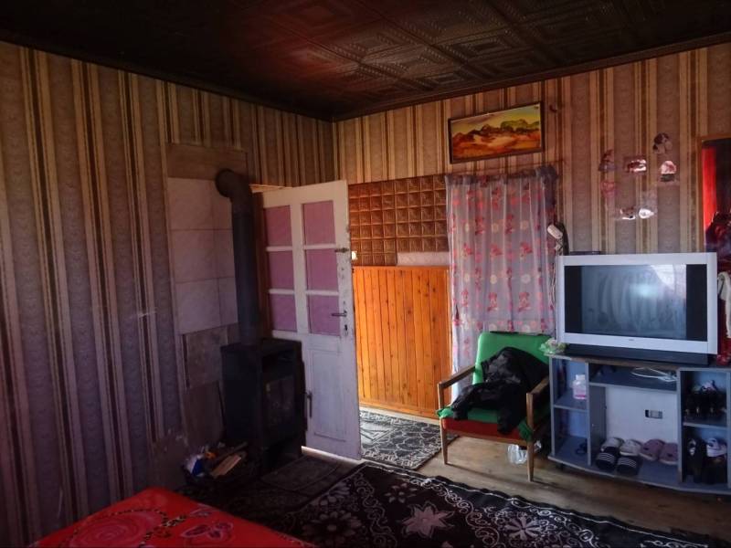 Interior of a family house with a television, sofa, fireplace, and patterned wallpaper.