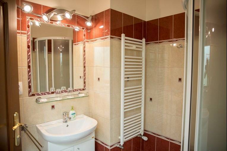 Bathroom in hotels and guesthouses with a sink, shower, and radiator.