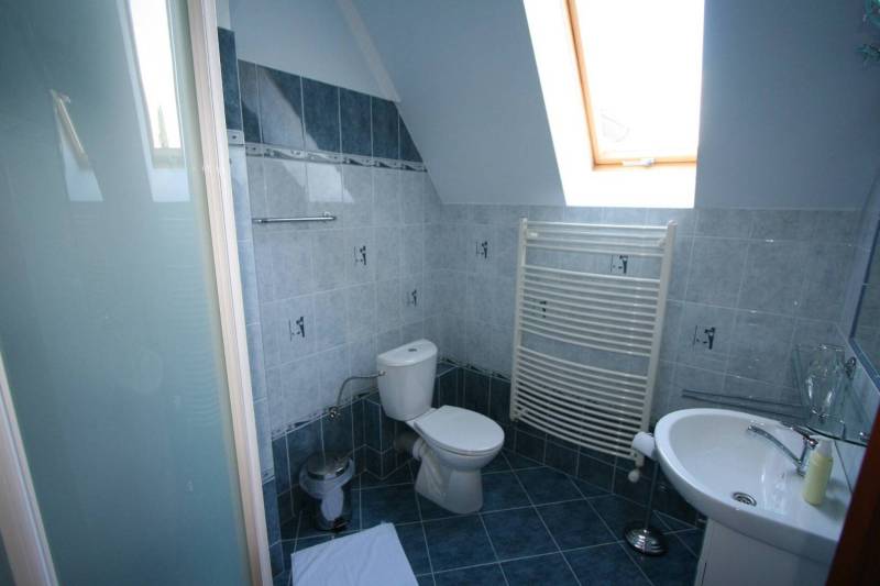 Bathroom with toilet and skylight in Hotels and guesthouses.