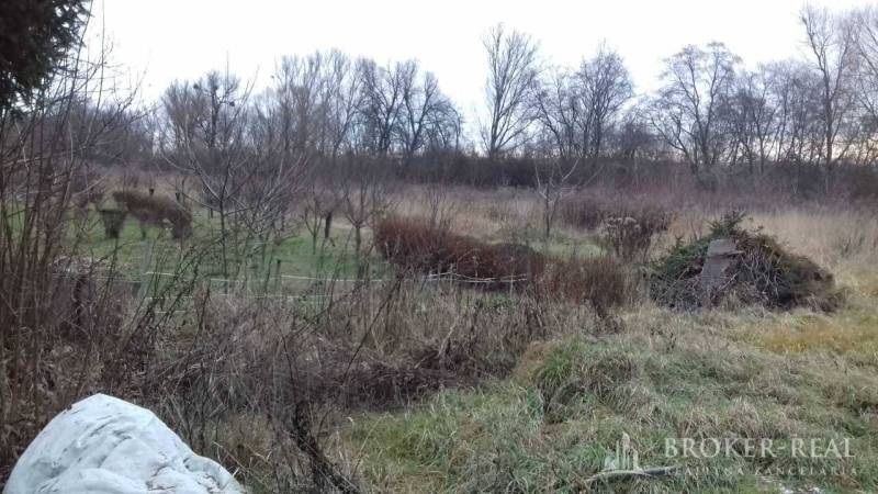 Natural scenery in the recreational grounds of Beniakovce with tall grass and shrubs.