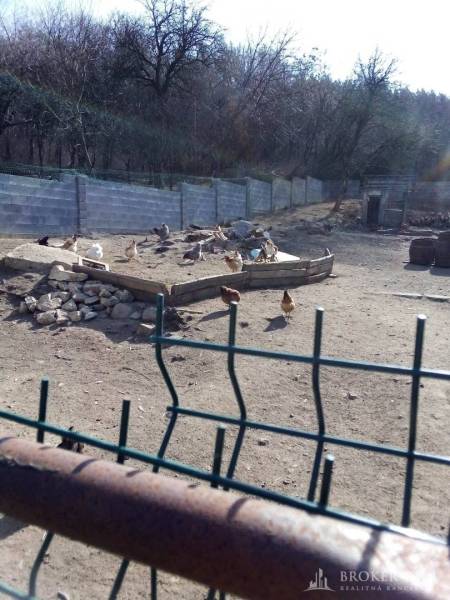 The garden of a family house in Pusztafalu with bird breeding and a rural landscape in the background.
