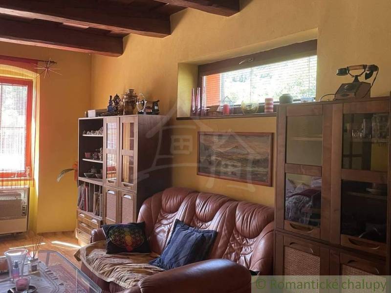 Living room with a leather sofa and wooden furniture in a family house.