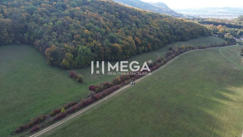 A meadow surrounded by forest next to the road in Jasenov on Special Properties.