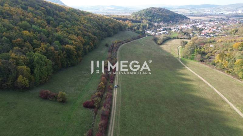 Meadows and forests along the road in Jasenov, unique properties offering natural scenery.