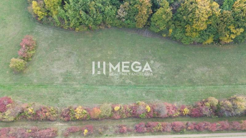 Aerial view of a green meadow and tree cover in Jasenov, Jasenov Street.
