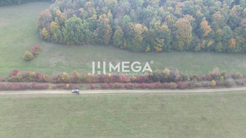 Meadow with trees near Jasenov on the road to Jasenov, suitable as special properties.