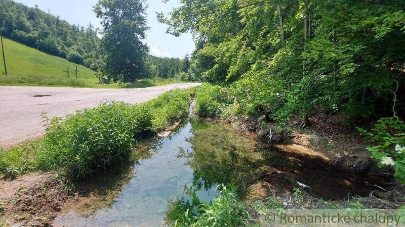 Forest path near a cottage in Myjava with a stream and greenery in the summer season.
