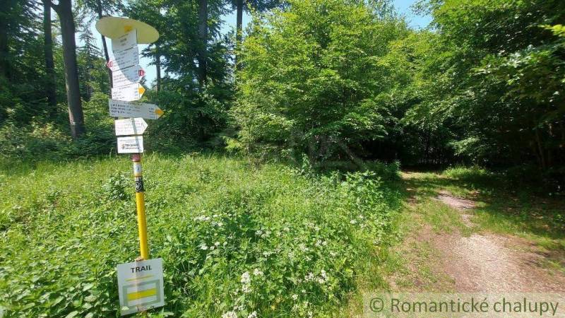 Forest trail near Myjava with a tourist signpost.