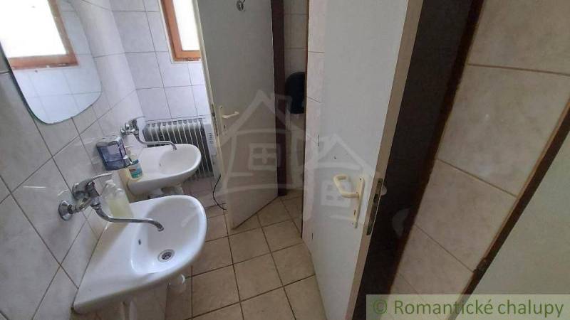 A bathroom in a cabin with two sinks, a mirror, and a radiator.