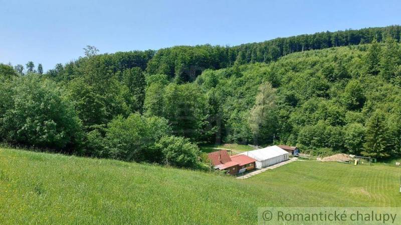 Cottages in Myjava are surrounded by dense forest and green meadow.