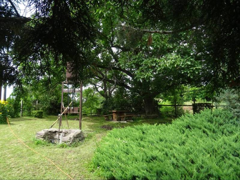 The garden of a family house in FONs with a bench and lush greenery in a natural setting.