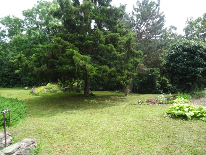 The garden of a family house in Fony with a lawn and diverse vegetation.
