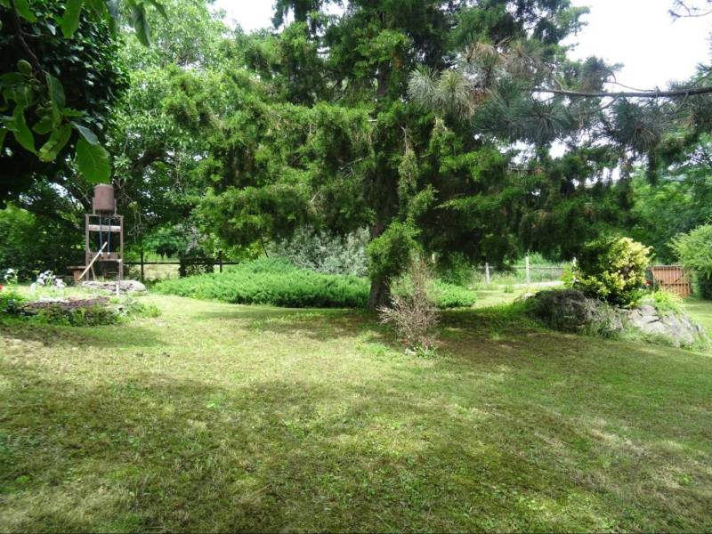 A garden at a family house in Fóny with a large coniferous tree and a well.