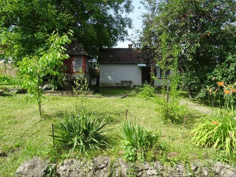 A garden with a family house in Tornaszentandrás, surrounded by lush vegetation and trees.