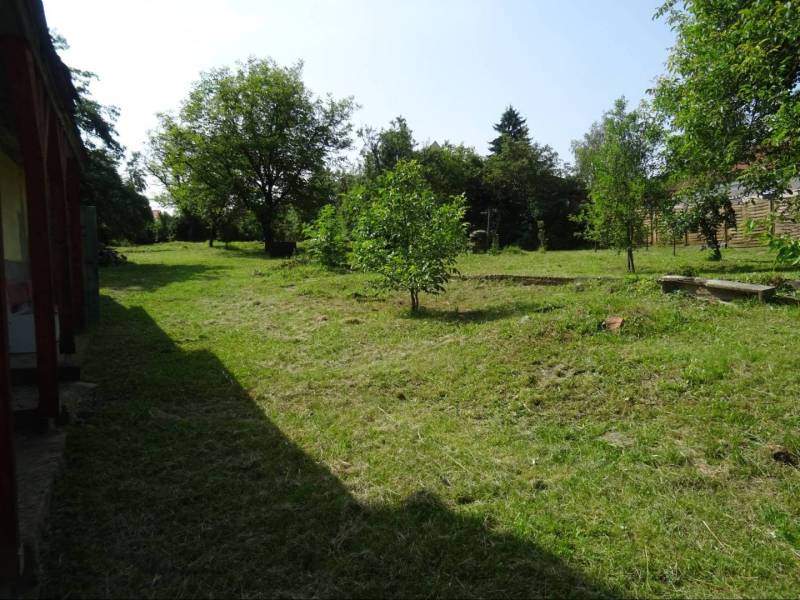 A garden at a family house in Tornaszentandrás, grass, trees, well-maintained green space.