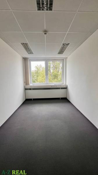 Office with white walls, dark carpet, and a large window overlooking greenery.
