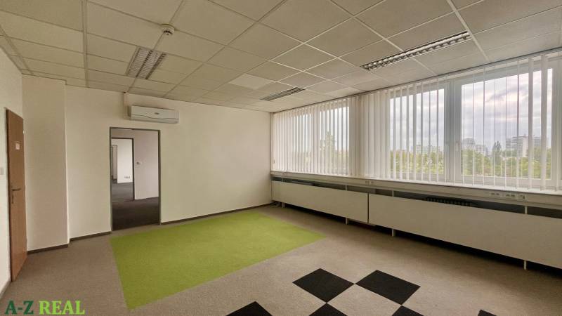 Spacious offices with a striking carpet and large windows.