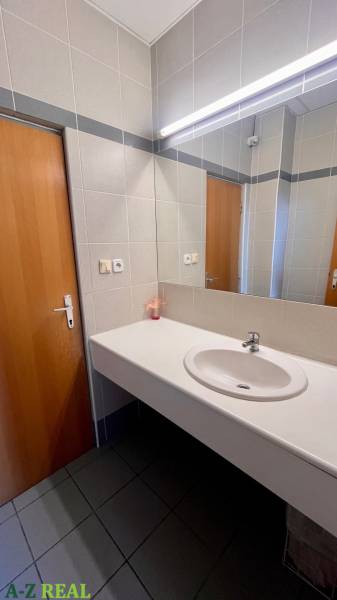 Bathroom with a sink, mirror, and wooden door in the office.