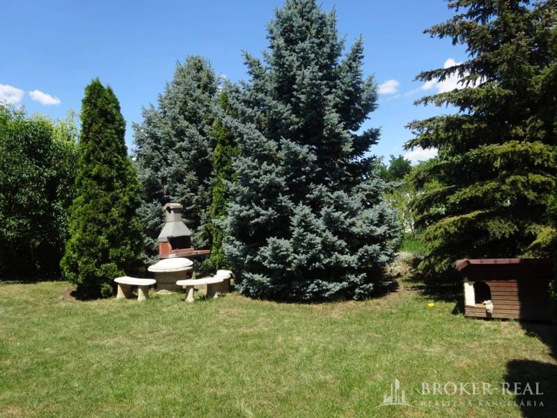 A garden at a family house in Encs with a fireplace, table, and benches among the trees.