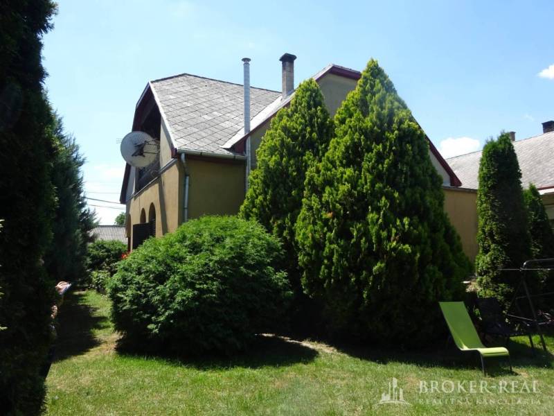 The garden of a family house in Encs with tall coniferous trees and a satellite dish.