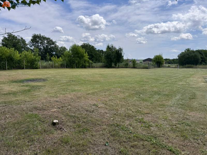 A vast grassy area surrounded by trees on the outskirts of Zemianske Sady on Zemianske Sady Street.
