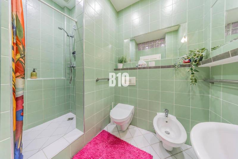 Bathroom in a 2-room apartment with green tiles, a shower, and a pink rug.