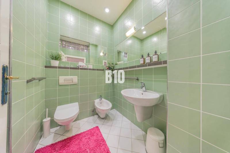 Green bathroom in a 2-room apartment with sanitary ware and a pink rug.