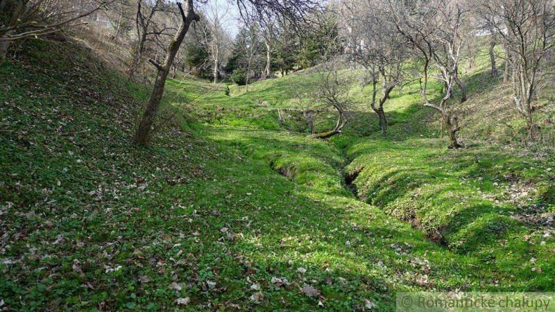 Gardens in Banská Bystrica with funnel-shaped grassy slopes and leafless trees.