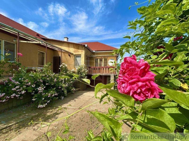 A family house in Gemerská Hôrka with a pink flower in a well-maintained garden.