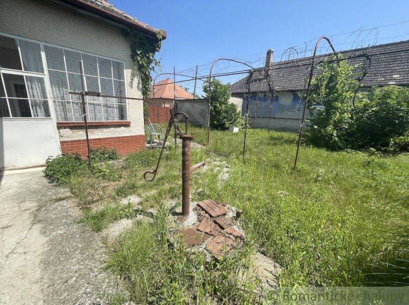 An overgrown yard of a family house with a pump in Nové Zámky, surrounded by green plants.