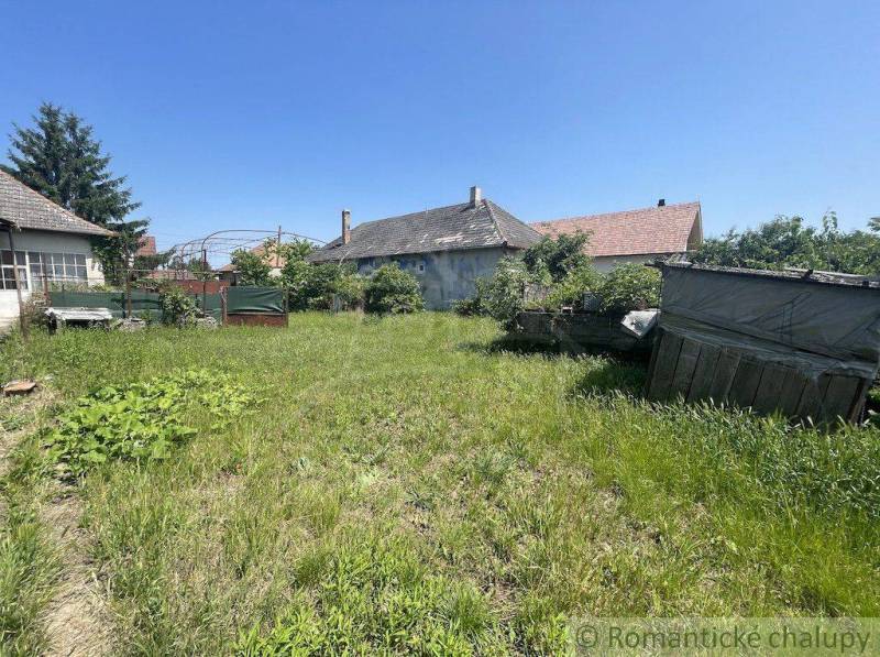 A garden with a lawn at a family house in Nové Zámky, surrounded by buildings and greenery.