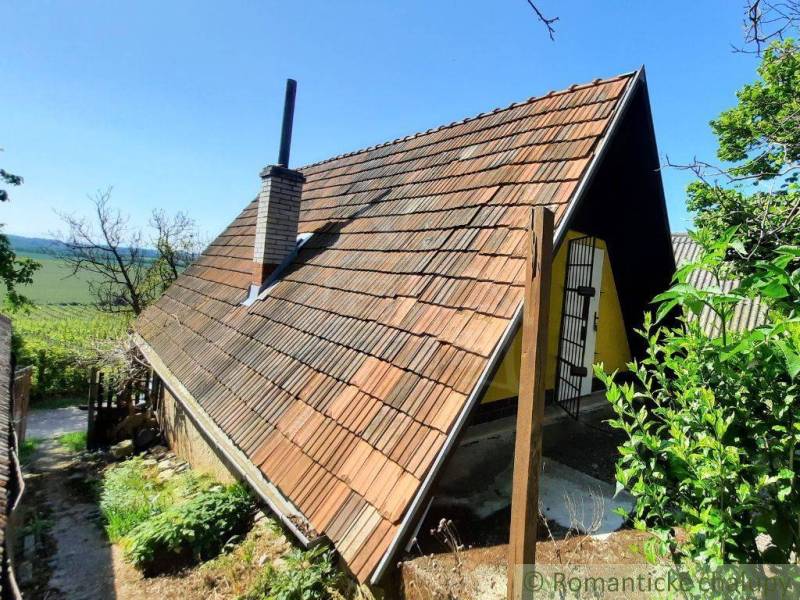A cottage in Malé Kozmálovce with a steep roof and green surroundings, rural environment.